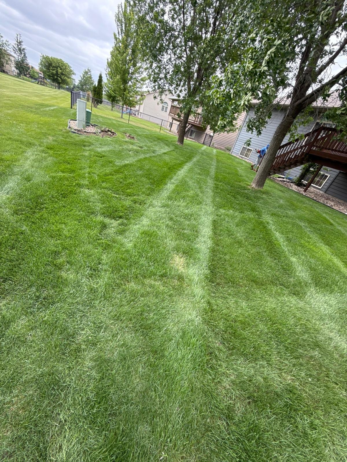 Lawn Mowing